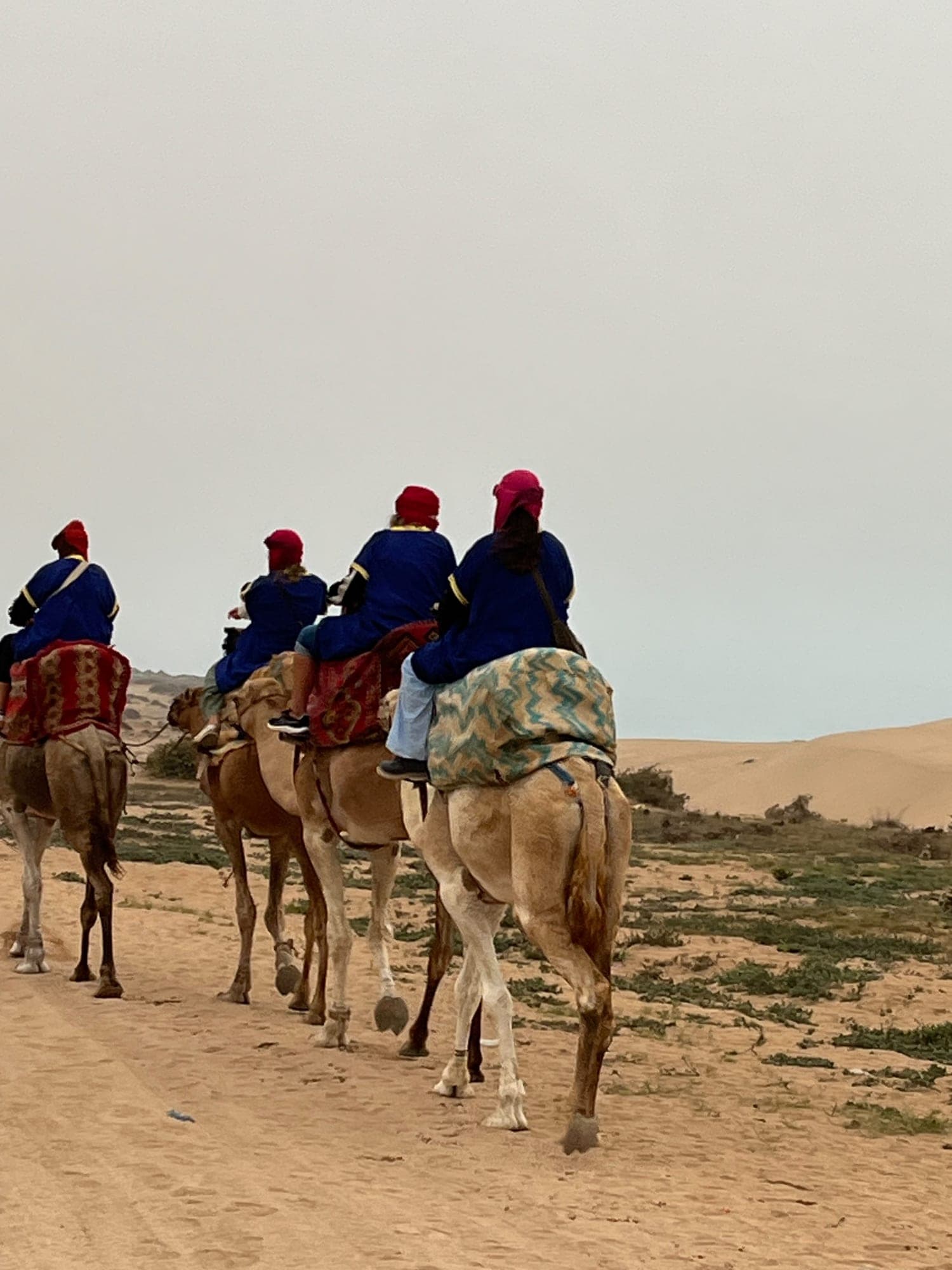 Camel caravan heading towards the golden Timlalin dunes