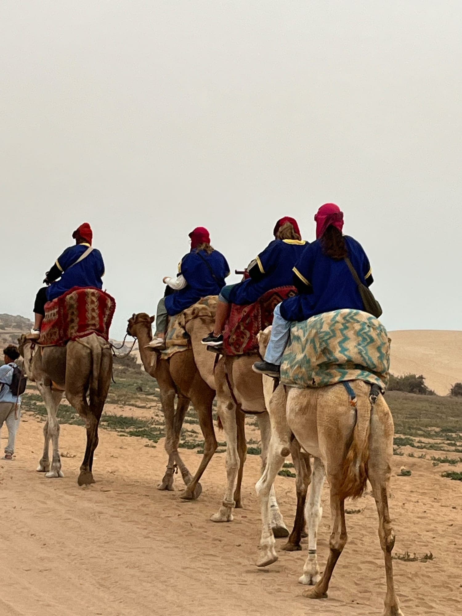 Group of riders on camels walking in line along a sandy track at Timlalin